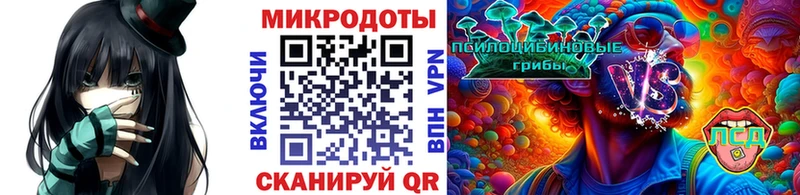 Псилоцибиновые грибы прущие грибы  Купить где  Данилов 